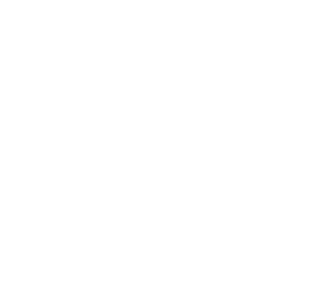 IFM ANIMA INNOVATIVA